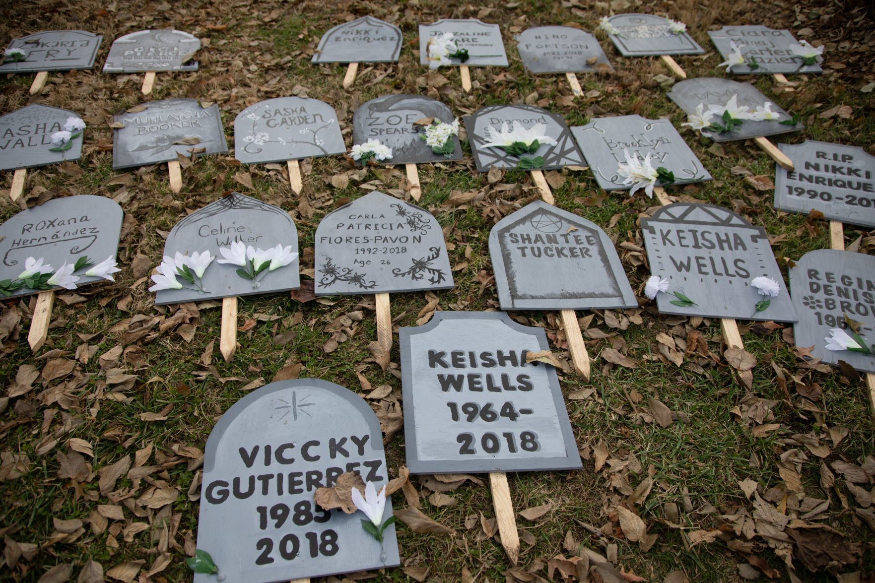Metro Trans Umbrella Group make Transgender Memorial Garden into Graveyard ahead of Vigil